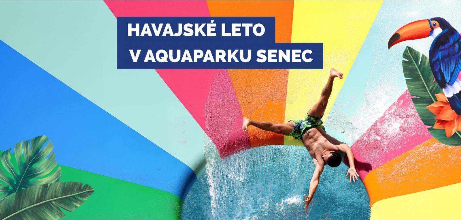 Letný predpredaj